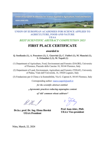 UEAA Certificate Best Abstracts 1nSTplace 2023