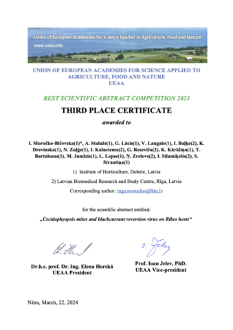 UEAA Certificate Best Abstracts 3rd place 2023